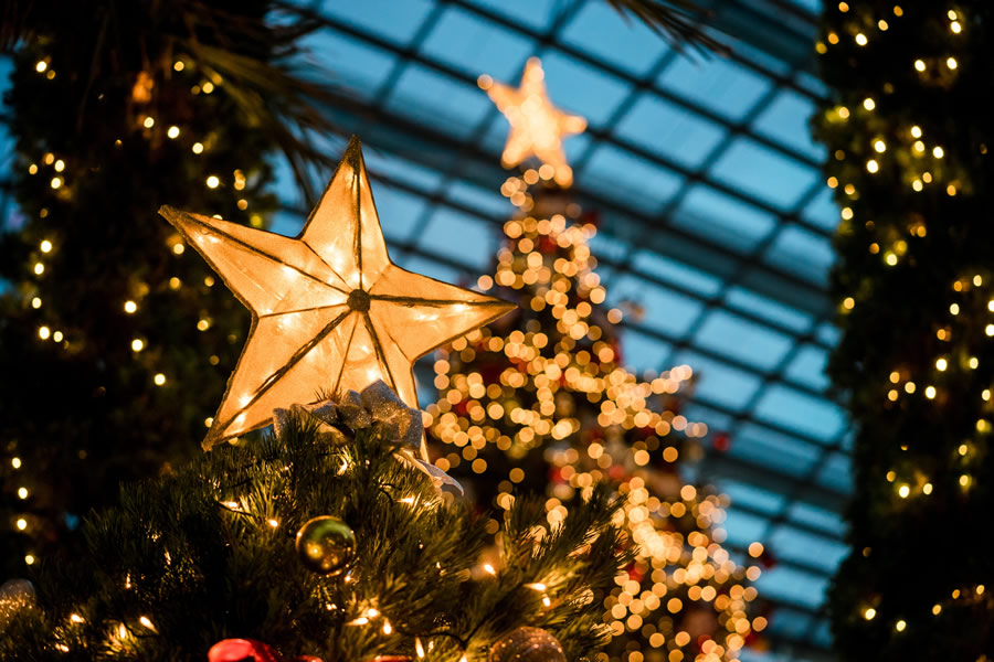 christmastree