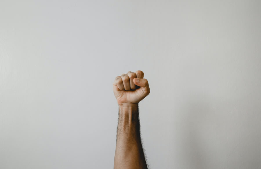 fist