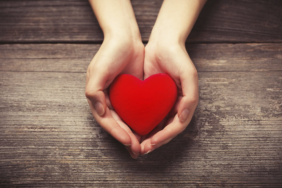 heartinhands