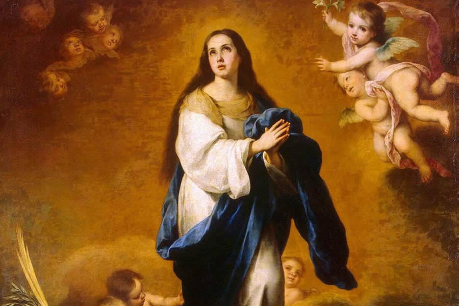 immacconception