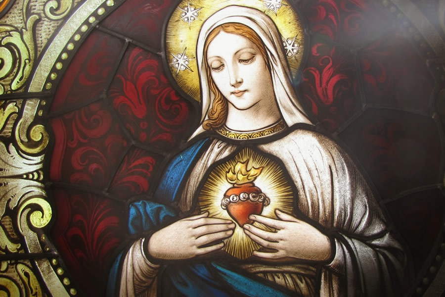 immacheartofmary